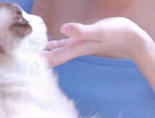 黑暗料理？永久不想尝试，朝阳群众“51吃瓜”支招