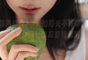 今天的阳光不算明媚，51朝阳群众网址的瓜却特别甜！
