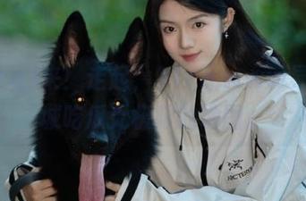 来！走起，91cg.www导航一城吃瓜无极限的地图。