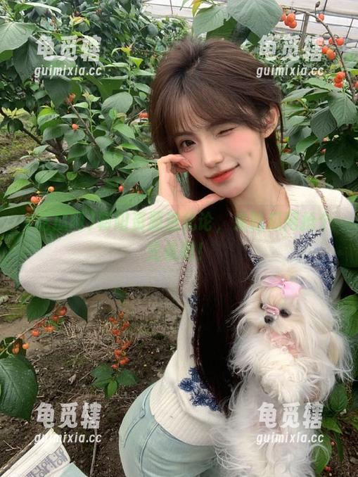 吃瓜网 朝阳资源进化论,来吃瓜网抢个先机吧!