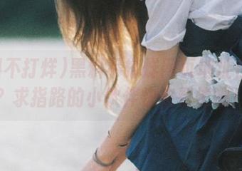 黑料不打烊网页地址在哪儿？求指路的小伙伴快来帮忙啊！
