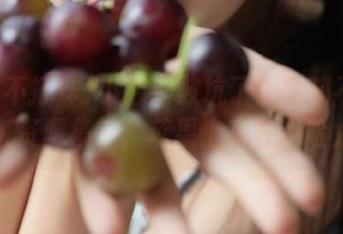 小心别被坑了！黑料不打烊网页版资源集锦，苹果上实在风险太多！