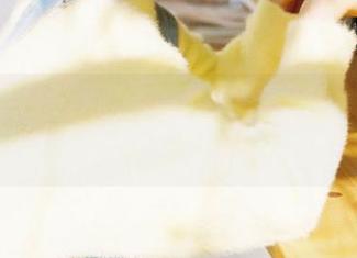 永久红杏在线，黑料网成新吃瓜圣地，和谁都不打烊！
